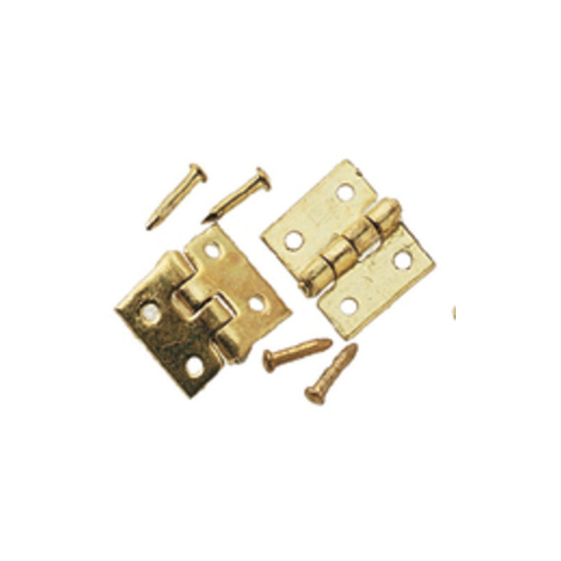 Brass Door Hinge 6Pc/Pk
