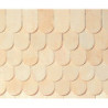 Fishscale Shingles 1000 Pc