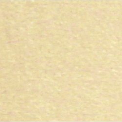 CARPET: BEIGE/TAN, 12 X 14