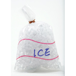 BAG OF ICE