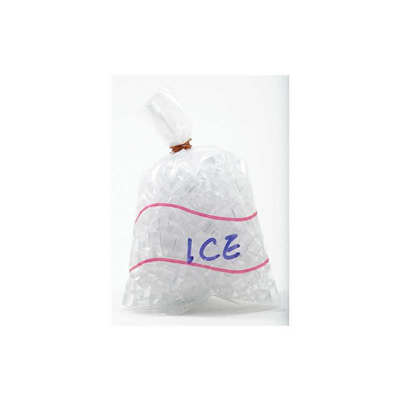 BAG OF ICE