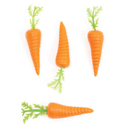 CARROTS