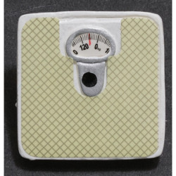 Bathroom Scale