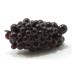 BUNCH OF GRAPES, PURPLE