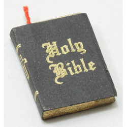 HOLY BIBLE