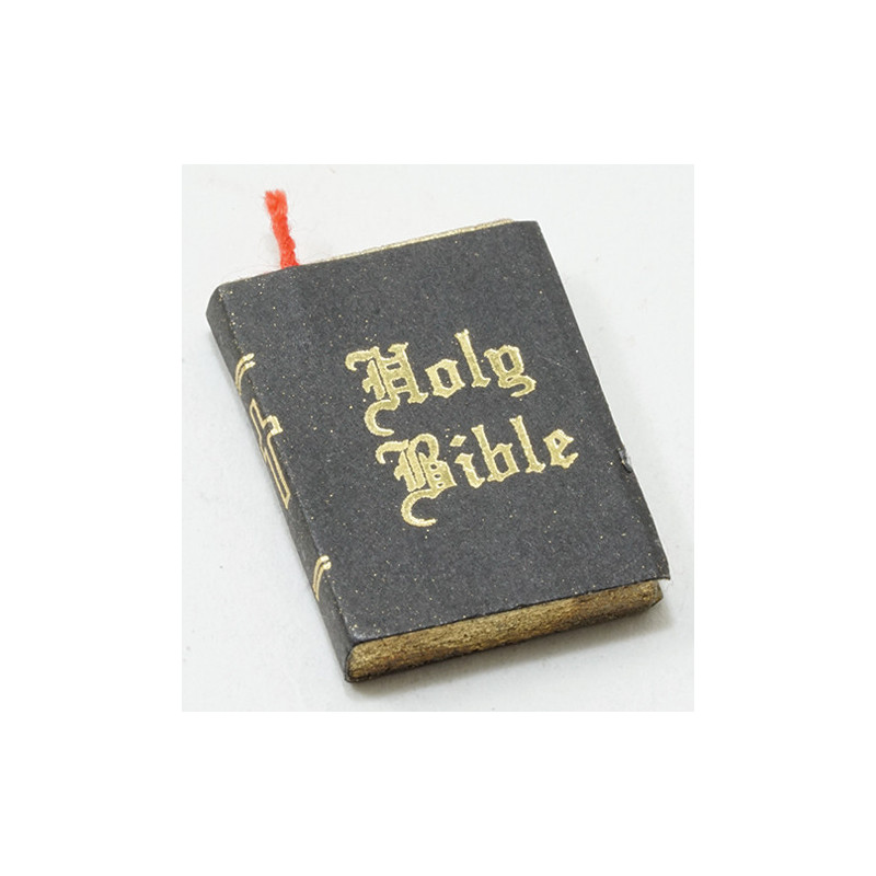 HOLY BIBLE