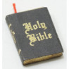 HOLY BIBLE