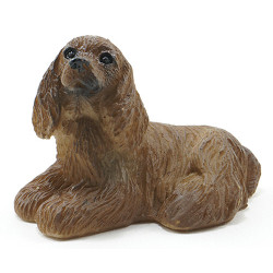 AMERICAN COCKER SPANIEL