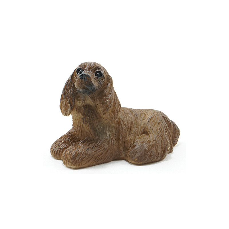 AMERICAN COCKER SPANIEL