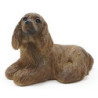 AMERICAN COCKER SPANIEL