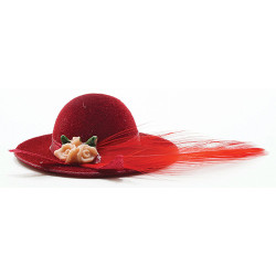 RED HAT WITH FEATHER