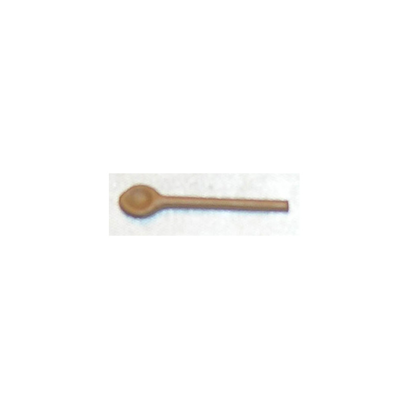 SPOON