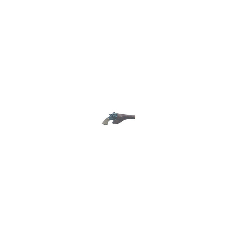 HANDGUN IN HOLSTER