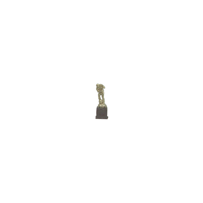 SOCCER TROPHY