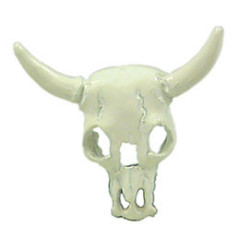 Steer's Head