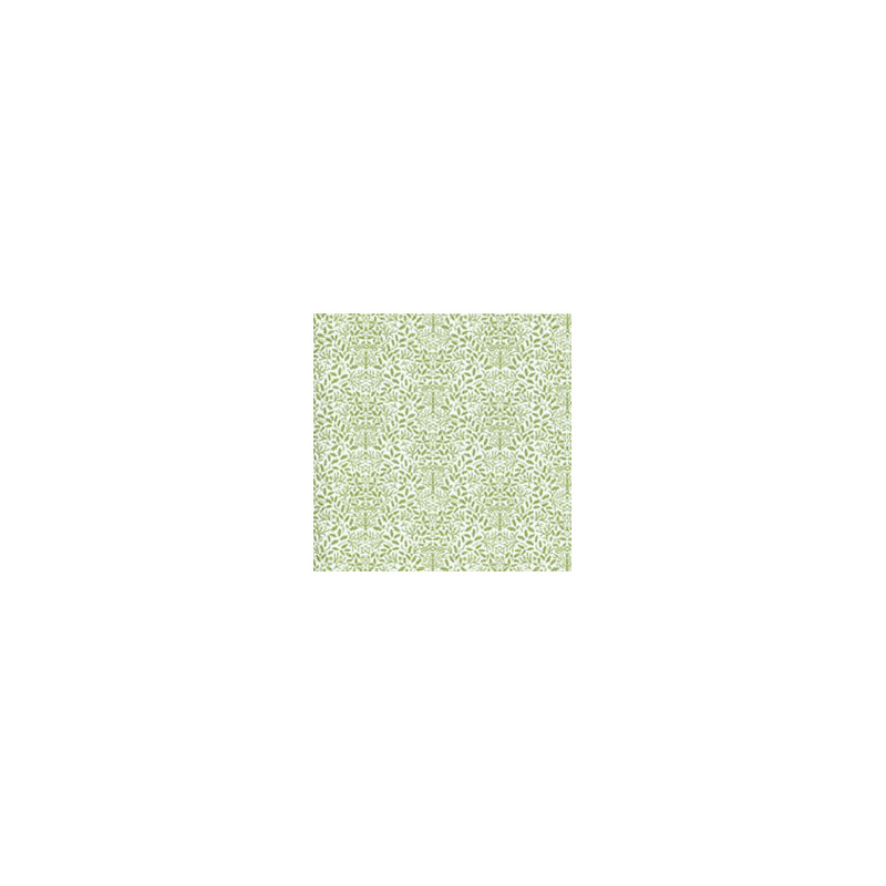6 pack Wallpaper: Acorns, Green On White