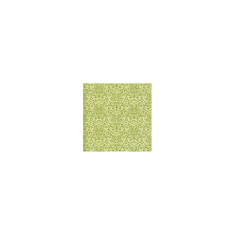 6 pack Wallpaper: Acorns, Green On Cream
