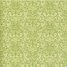 6 pack Wallpaper: Acorns, Green On Cream