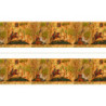 6 pack Wallpaper: Tudor Frieze