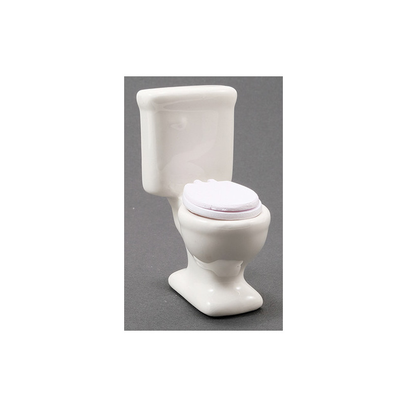 Toilet, White