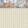 3 pack Wallpaper: Purrfect Kitties