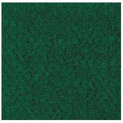 FOREST GREEN CARPETING, 14 X 20