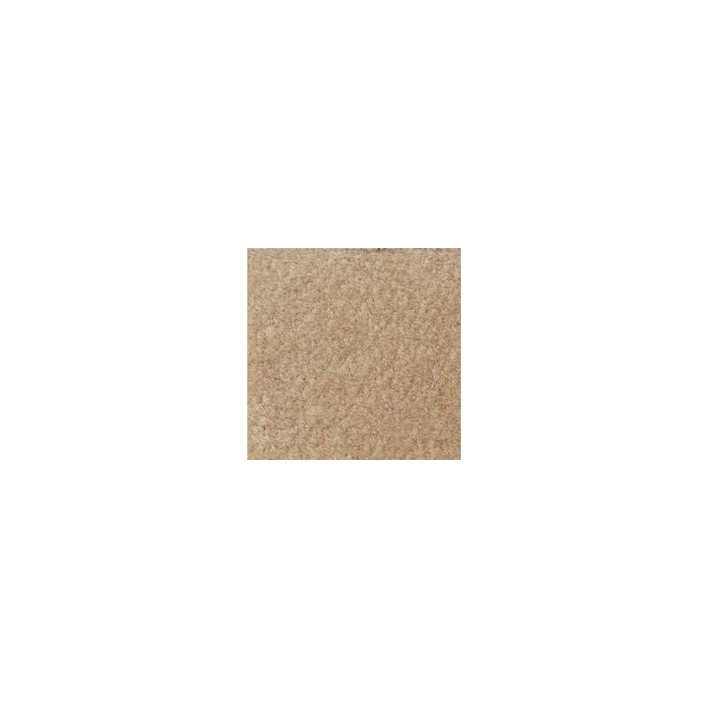 BEIGE CARPETING, 12 X 14
