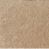 BEIGE CARPETING, 12 X 14