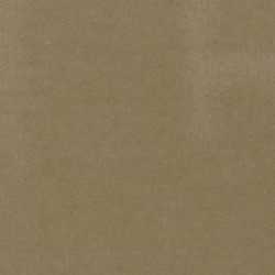 BEIGE CARPETING, 14 X 20