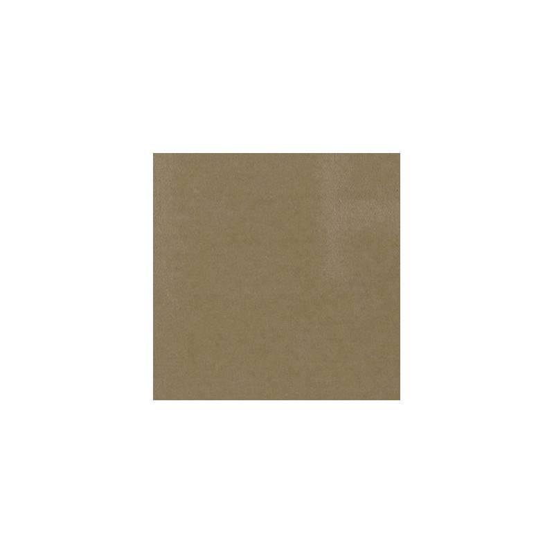 BEIGE CARPETING, 14 X 20