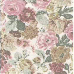 3 pack Primrose, Multi