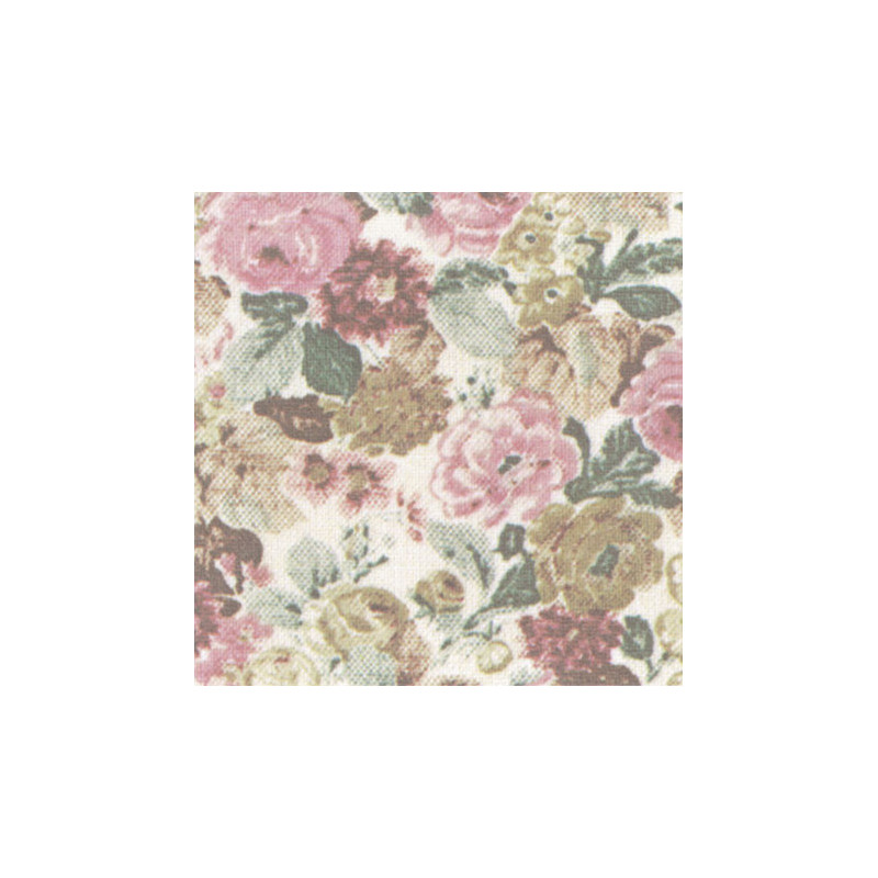 3 pack Primrose, Multi
