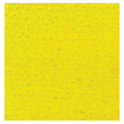CARPET: YELLOW, 12 X 14