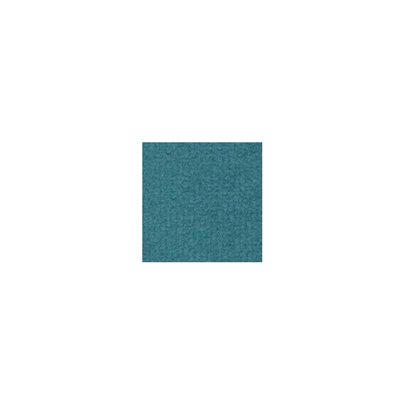TURQUOISE CARPETING, 12 X 14