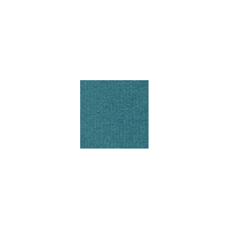 TURQUOISE CARPETING, 14 X 20