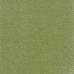CARPET: CELERY, 14 X 20