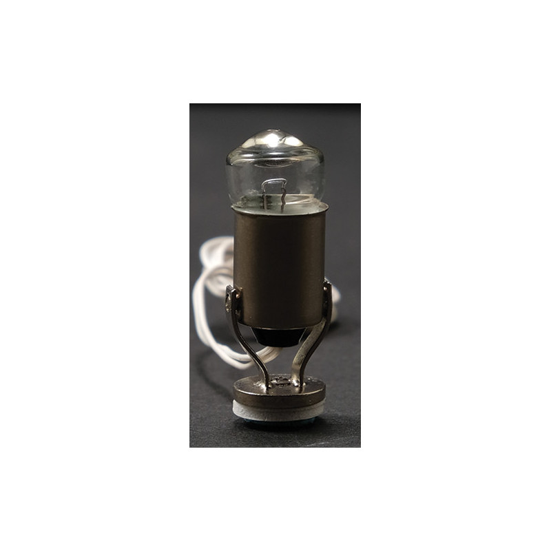 SPOTLIGHT BULB W/FIXTURE