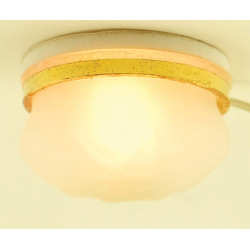 Frosted Ceiling Light