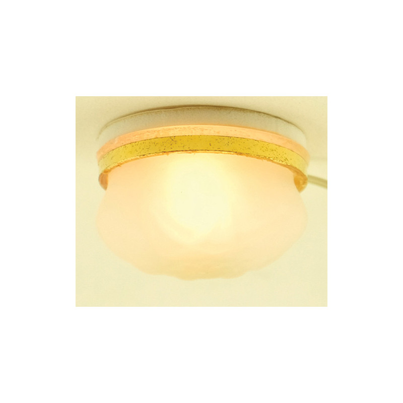Frosted Ceiling Light