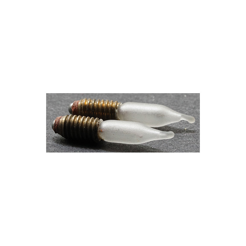 16V Flame Tip Frosted Bulb- 4/