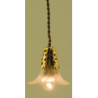 Hanging Lamp- Frosted Flower