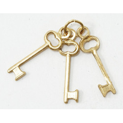 Keys On Ring