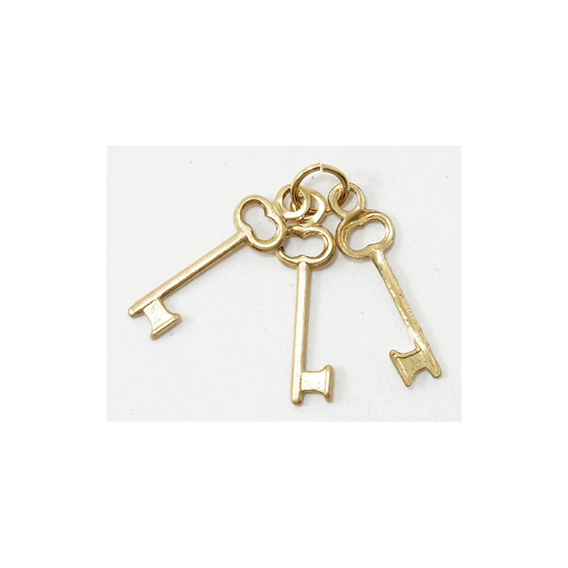 Keys On Ring