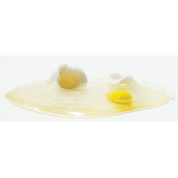 Broken Egg