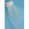 Bridal Veil