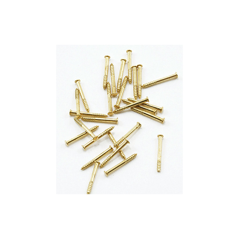 1/4 Brass Brads 100pk