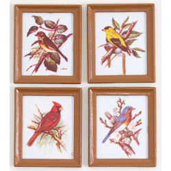 FRAMED BIRD PICTURES 4 PCS