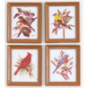 FRAMED BIRD PICTURES 4 PCS