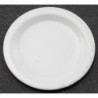 White Plate 1in Dia