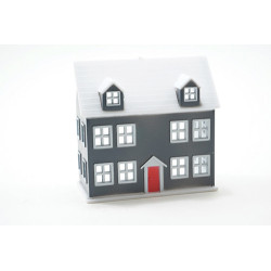 2IN SCHOOL/DOLLHOUSE